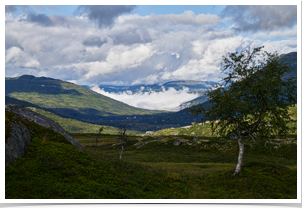 View back toward the fjord from the upper plateau at Syssendamen Lake.